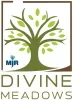 MJR Divine Meadows Logo